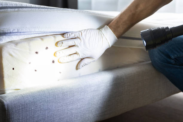 Best Commercial Pest Control Services  in West Glens Falls, NY